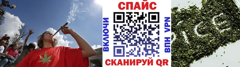 где найти   Вятские Поляны  Бутират буратино 